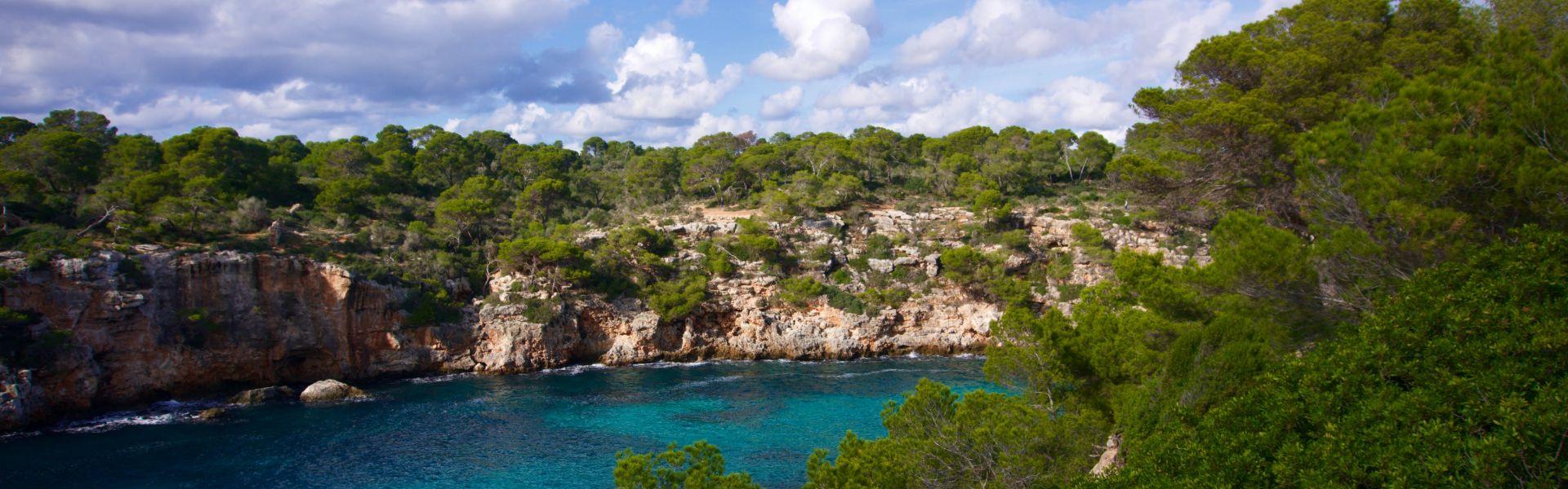 Comitas Hotels Comitas Hotels