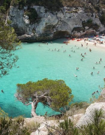 Comitas Hotels Comitas Hotels