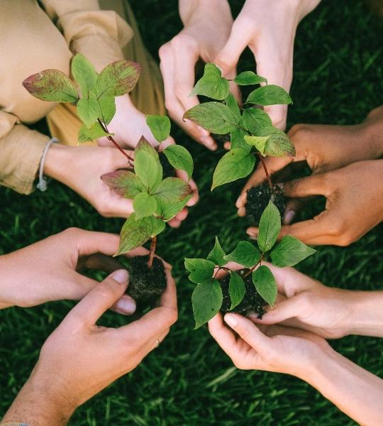 Comitas Hotels Comitas Hotels